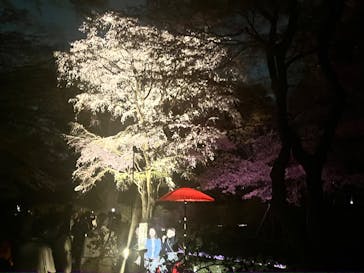 六義園に投稿された画像（2025/3/26）