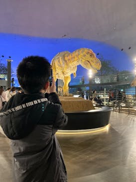 福井県立恐竜博物館に投稿された画像（2025/3/26）