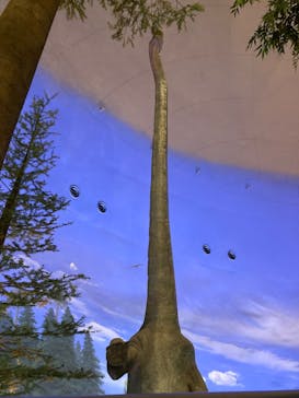 福井県立恐竜博物館に投稿された画像（2025/3/26）