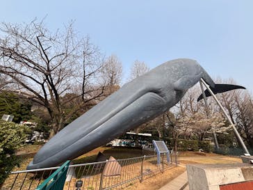 国立科学博物館に投稿された画像（2025/3/26）