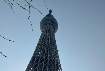 東京スカイツリーに投稿された画像（2025/3/26）