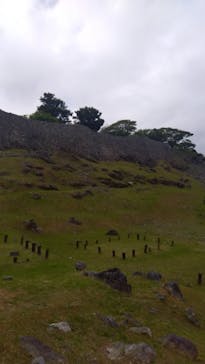 今帰仁城跡に投稿された画像（2025/3/26）