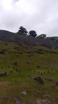 今帰仁城跡に投稿された画像（2025/3/26）