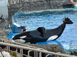 名古屋港水族館に投稿された画像（2025/3/27）