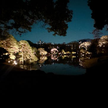 六義園に投稿された画像（2025/3/26）