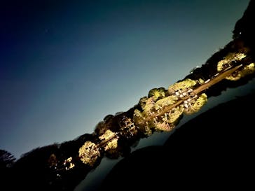 六義園に投稿された画像（2025/3/27）