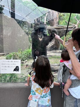 沖縄こどもの国に投稿された画像（2025/3/27）