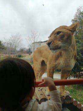 東京動物園協会_多摩動物公園に投稿された画像（2025/3/27）