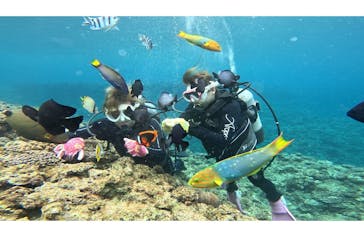 青の洞窟専門店　沖縄ダイビングショップ和に投稿された画像（2025/3/27）