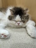 Moff animal world BIGHOPガーデンモール印西店に投稿された画像（2025/3/27）