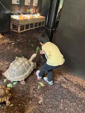 体感型動物園iZooに投稿された画像（2025/3/27）