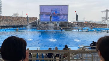 名古屋港水族館に投稿された画像（2025/3/27）