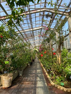 名古屋市東山動植物園に投稿された画像（2025/3/27）