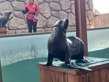 那須どうぶつ王国に投稿された画像（2025/3/27）