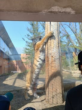 那須どうぶつ王国に投稿された画像（2025/3/27）