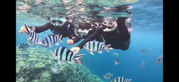 青の洞窟専門店　沖縄ダイビングショップ和に投稿された画像（2025/3/27）