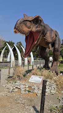 伊豆ぐらんぱる公園に投稿された画像（2025/3/27）