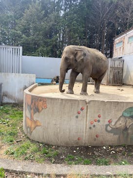 宇都宮動物園に投稿された画像（2025/3/27）