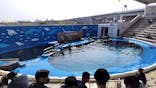 仙台うみの杜水族館に投稿された画像（2025/3/27）