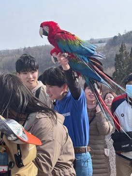 那須どうぶつ王国に投稿された画像（2025/3/27）