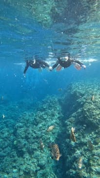 武藤潜水に投稿された画像（2025/3/27）