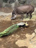 伊豆シャボテン動物公園に投稿された画像（2025/3/27）