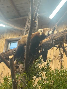 伊豆シャボテン動物公園に投稿された画像（2025/3/27）