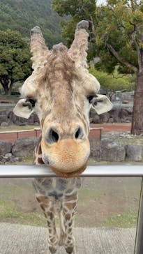 伊豆アニマルキングダムに投稿された画像（2025/3/27）