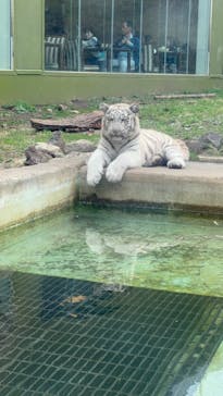 伊豆アニマルキングダムに投稿された画像（2025/3/27）