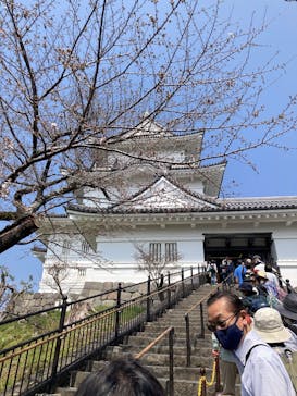 小田原城に投稿された画像（2025/3/27）