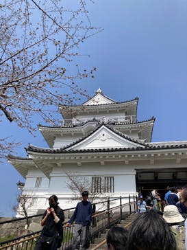 小田原城に投稿された画像（2025/3/27）