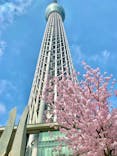 東京スカイツリーに投稿された画像（2025/3/27）