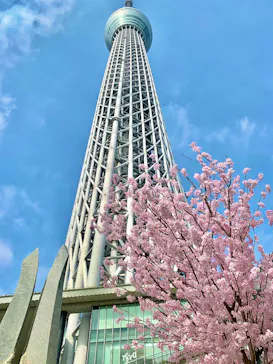 東京スカイツリーに投稿された画像（2025/3/27）
