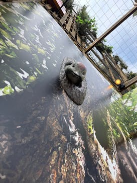 モビリティリゾートもてぎに投稿された画像（2025/3/27）