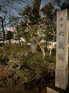 六義園に投稿された画像（2025/3/27）