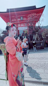 舞妓体験・レンタル着物　スタジオ四季に投稿された画像（2025/3/27）