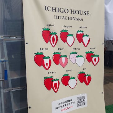ICHIGOHOUSE.HITACHINAKAに投稿された画像（2025/3/27）