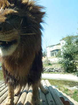 東京動物園協会_多摩動物公園に投稿された画像（2025/3/27）