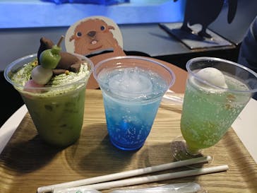 すみだ水族館に投稿された画像（2025/3/27）