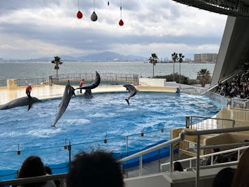 マリンワールド海の中道に投稿された画像（2025/3/27）