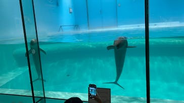 マリンワールド海の中道に投稿された画像（2025/3/27）