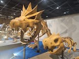 福井県立恐竜博物館に投稿された画像（2025/3/27）