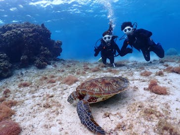 ちゃこたびに投稿された画像（2025/3/27）