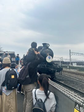 京都鉄道博物館に投稿された画像（2025/3/27）