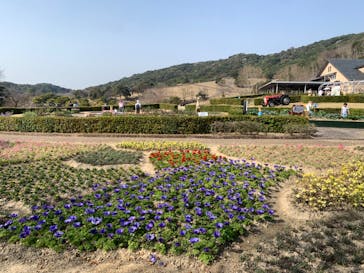 淡路ファームパーク イングランドの丘に投稿された画像（2025/3/27）