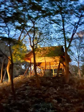 六義園に投稿された画像（2025/3/27）