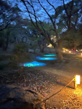 六義園に投稿された画像（2025/3/27）