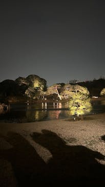 六義園に投稿された画像（2025/3/27）