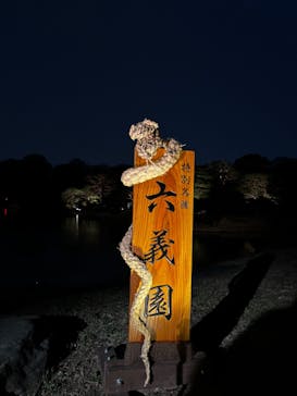 六義園に投稿された画像（2025/3/27）