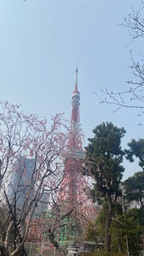東京タワーに投稿された画像（2025/3/27）